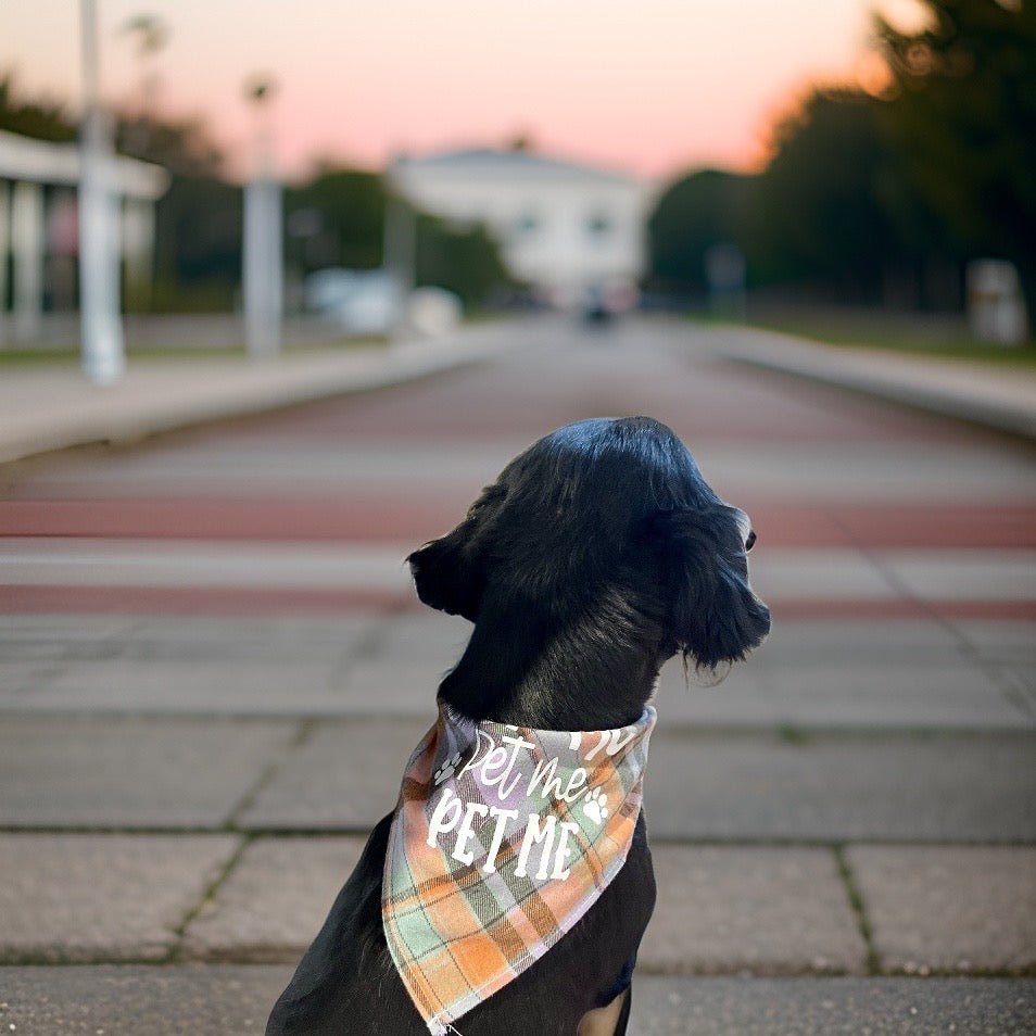 Dog Plaid Bandanna/Scarf "PAW-SITIVELY ADORABLE" Size M