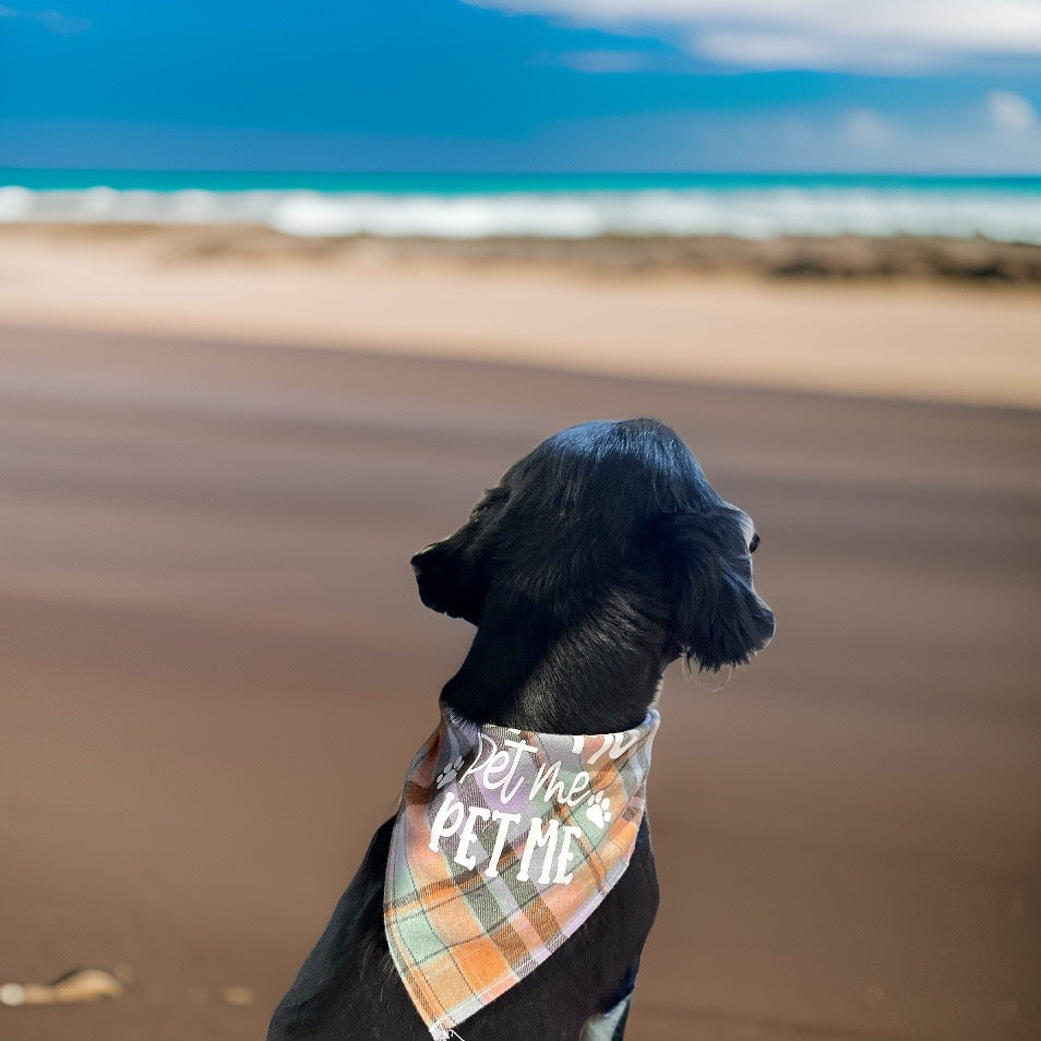 Dog Plaid Bandanna/Scarf "Sloppy Kisser" Size M